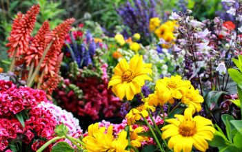 Birth Month Flowers and Their Meanings Birth Month Flowers and Their Meanings