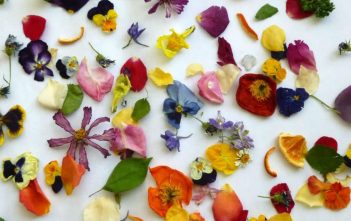 10 Uses for Dried Flowers Dried Flowers