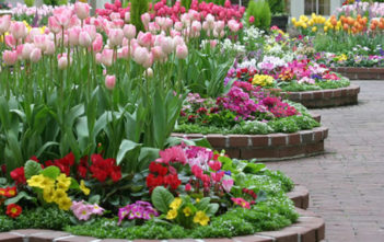 How to Build a Flower Bed Flower Bed