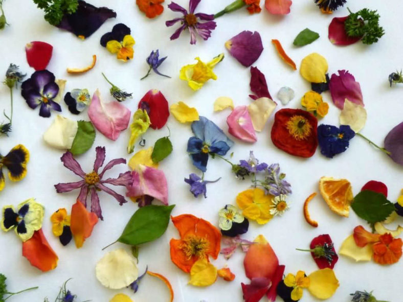 Uses for Dried Flowers
