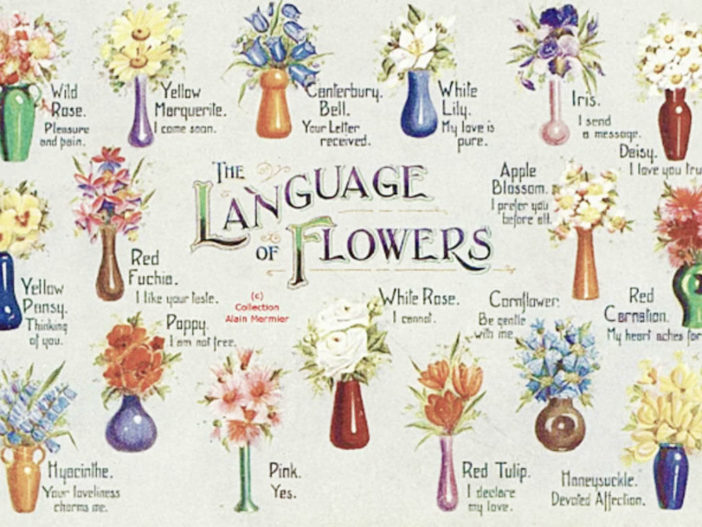 Victorian Flower Language