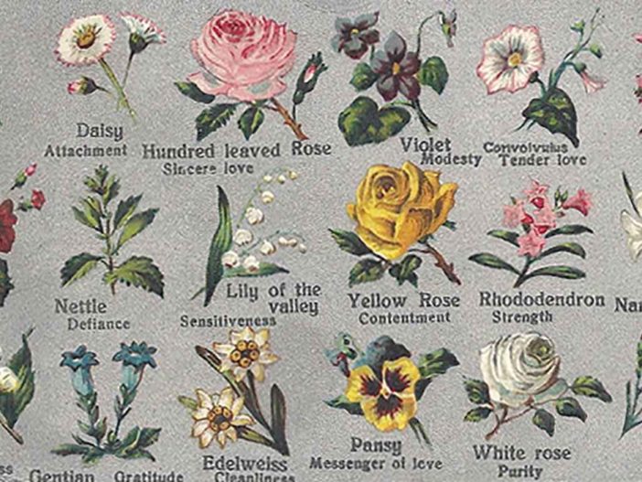 flower types and meanings