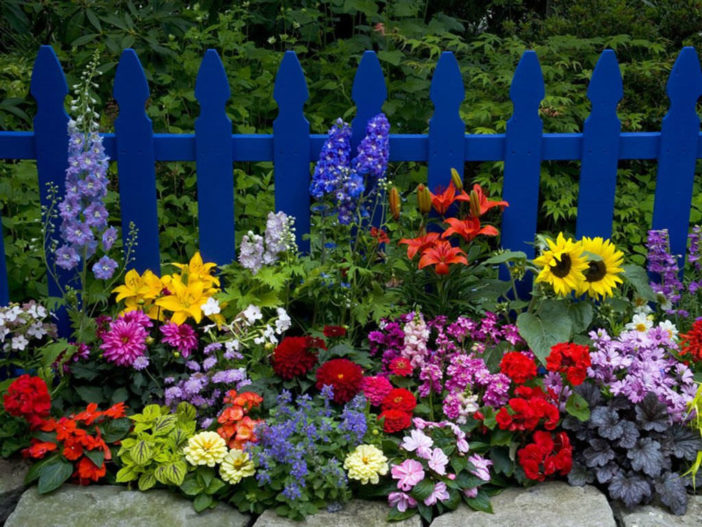 Flower Gardening Tips