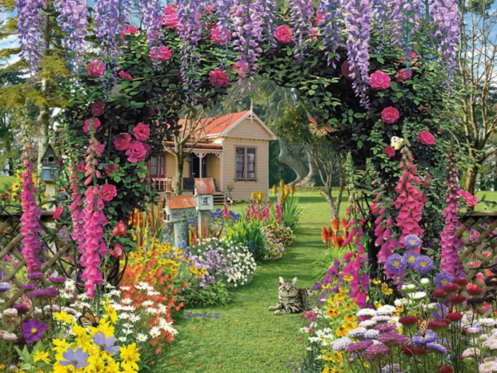 Cottage Garden