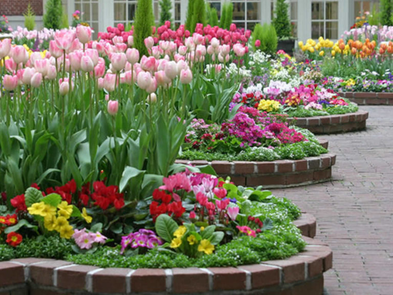 How to Build a Flower Bed World of Flowering Plants
