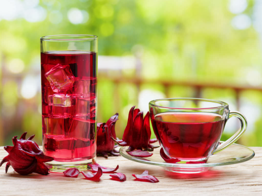 11 Surprising Benefits of Hibiscus Tea - World of Flowering Plants