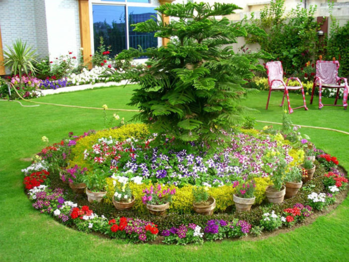 How To Grow A Flower Garden World Of Flowering Plants